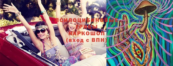 PSILOCYBIN Балахна