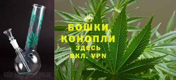 PSILOCYBIN Балахна