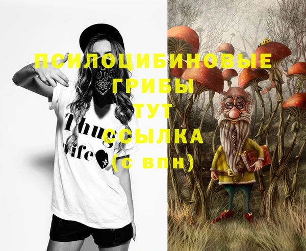 PSILOCYBIN Балахна