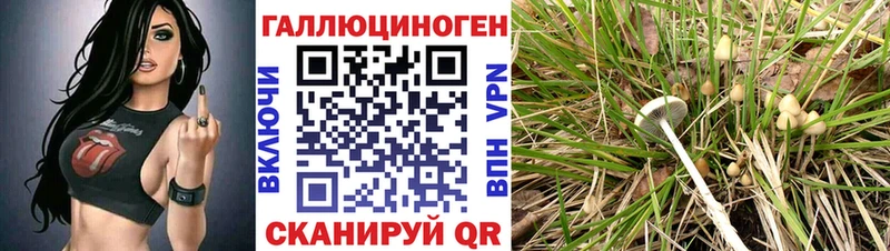 хочу Петушки blacksprut маркетплейс Галлюциногенные грибы Psilocybe