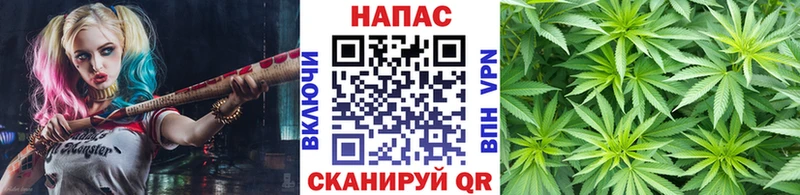 Шишки марихуана планчик Петушки